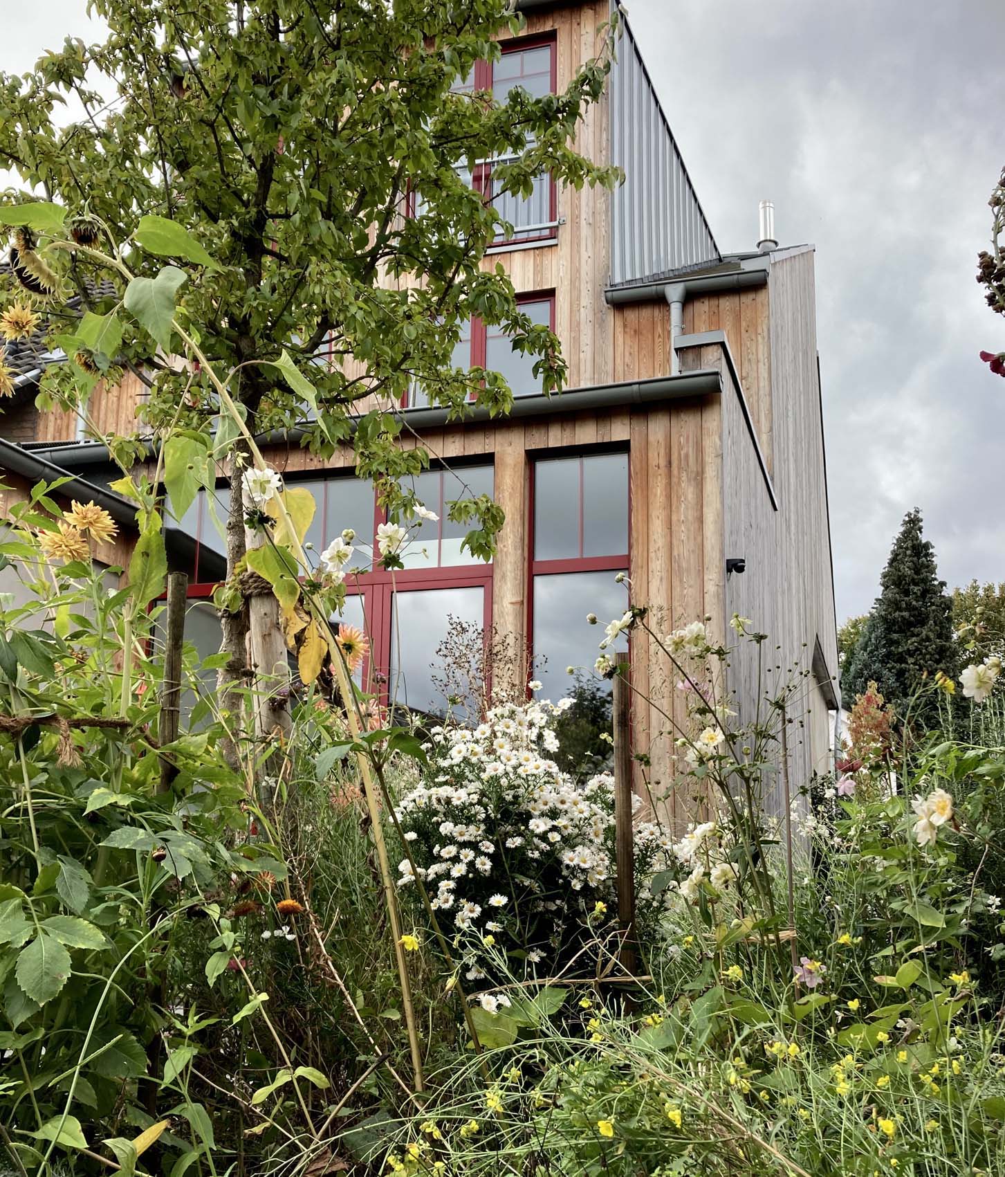 Gartengestaltung Frechen K&ouml;nigsdorf Beete Blumen Bl&uuml;ten