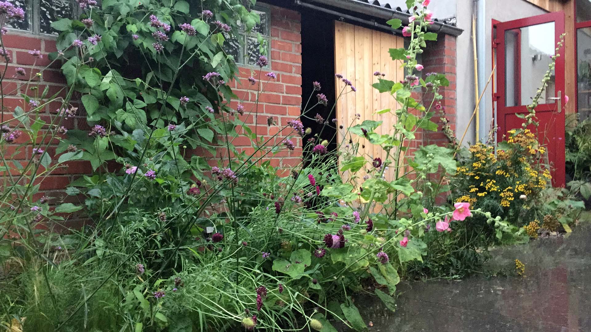Gartengestaltung Frechen K&ouml;nigsdorf Beete Blumen Bl&uuml;ten