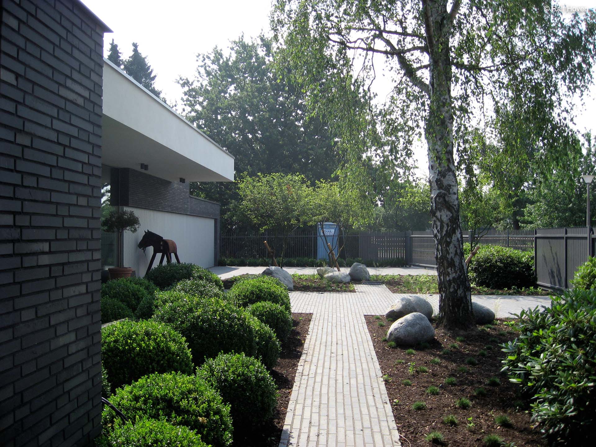 Gartengestaltung Pulheim Brauweiler gro&szlig;z&uuml;gig, modern, Buxkugeln, Schirmform, Felsenbirne, Kunstrasen