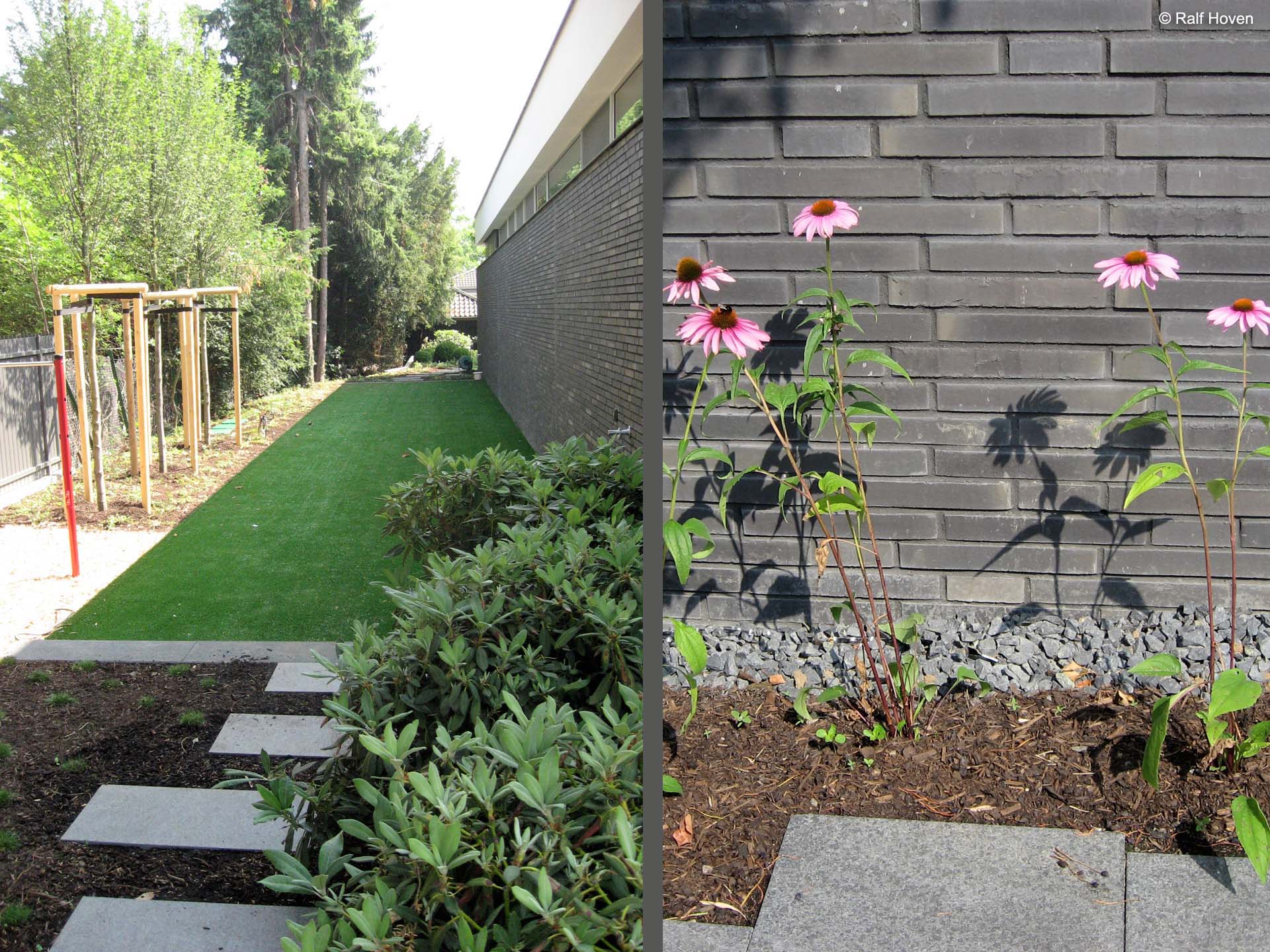 Gartengestaltung Pulheim Brauweiler gro&szlig;z&uuml;gig, modern, Buxkugeln, Schirmform, Felsenbirne, Kunstrasen