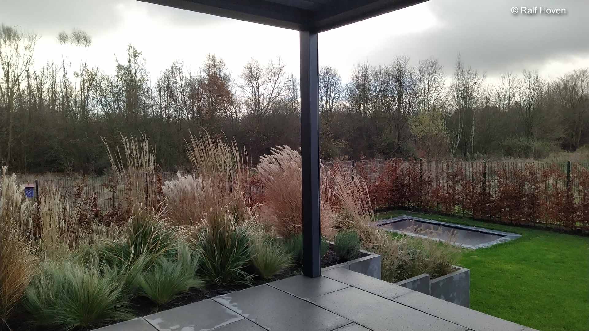 Gartengestaltung Pulheim Brauweiler gro&szlig;z&uuml;gig, modern, Buxkugeln, Schirmform, Felsenbirne, Kunstrasen