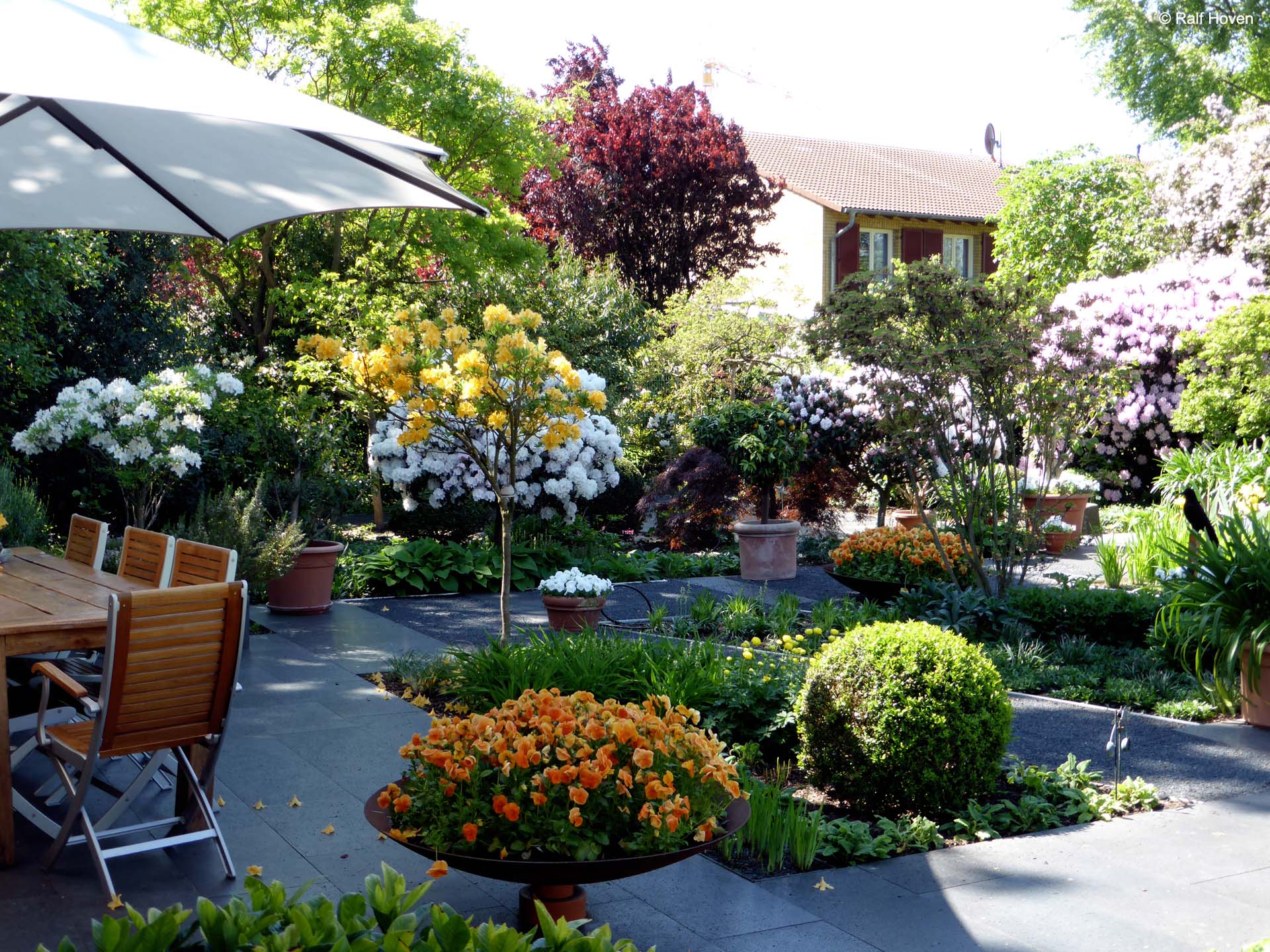 Gartengestaltung Frechen K&ouml;nigsdorf, Wasserbecken, Staudenbeete, modern