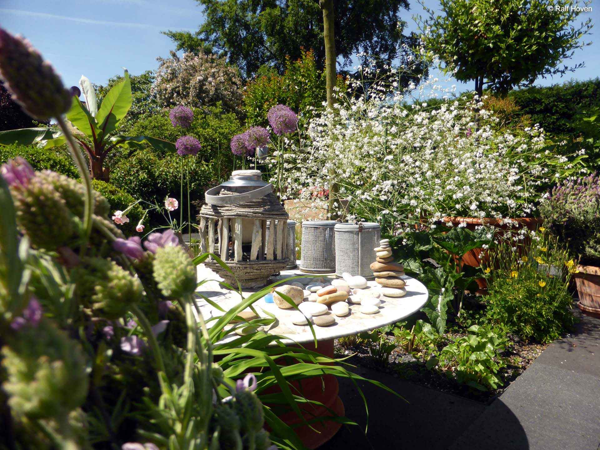 Gartengestaltung Frechen K&ouml;nigsdorf, Wasserbecken, Staudenbeete, modern