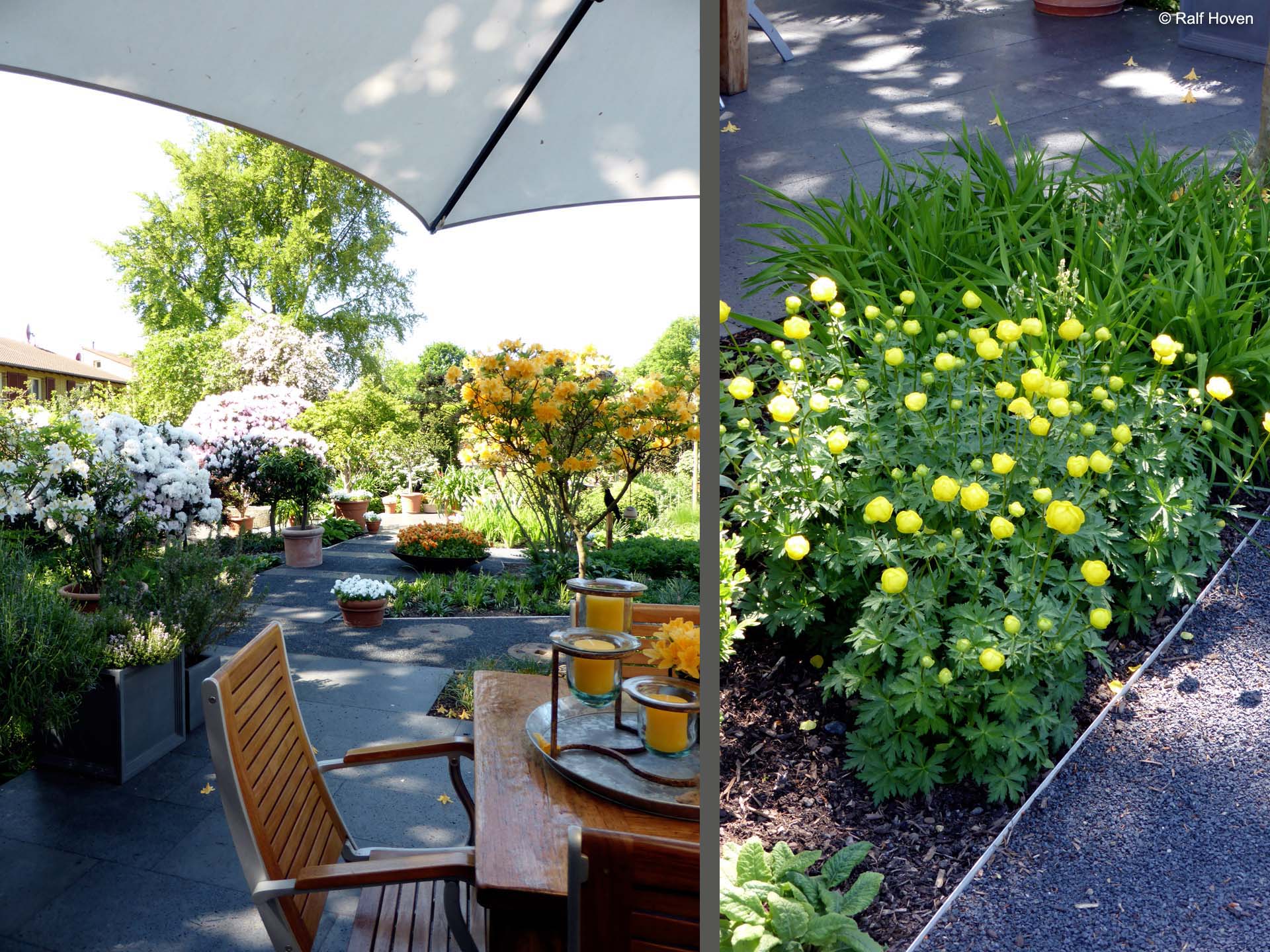 Gartengestaltung Frechen K&ouml;nigsdorf, Wasserbecken, Staudenbeete, modern