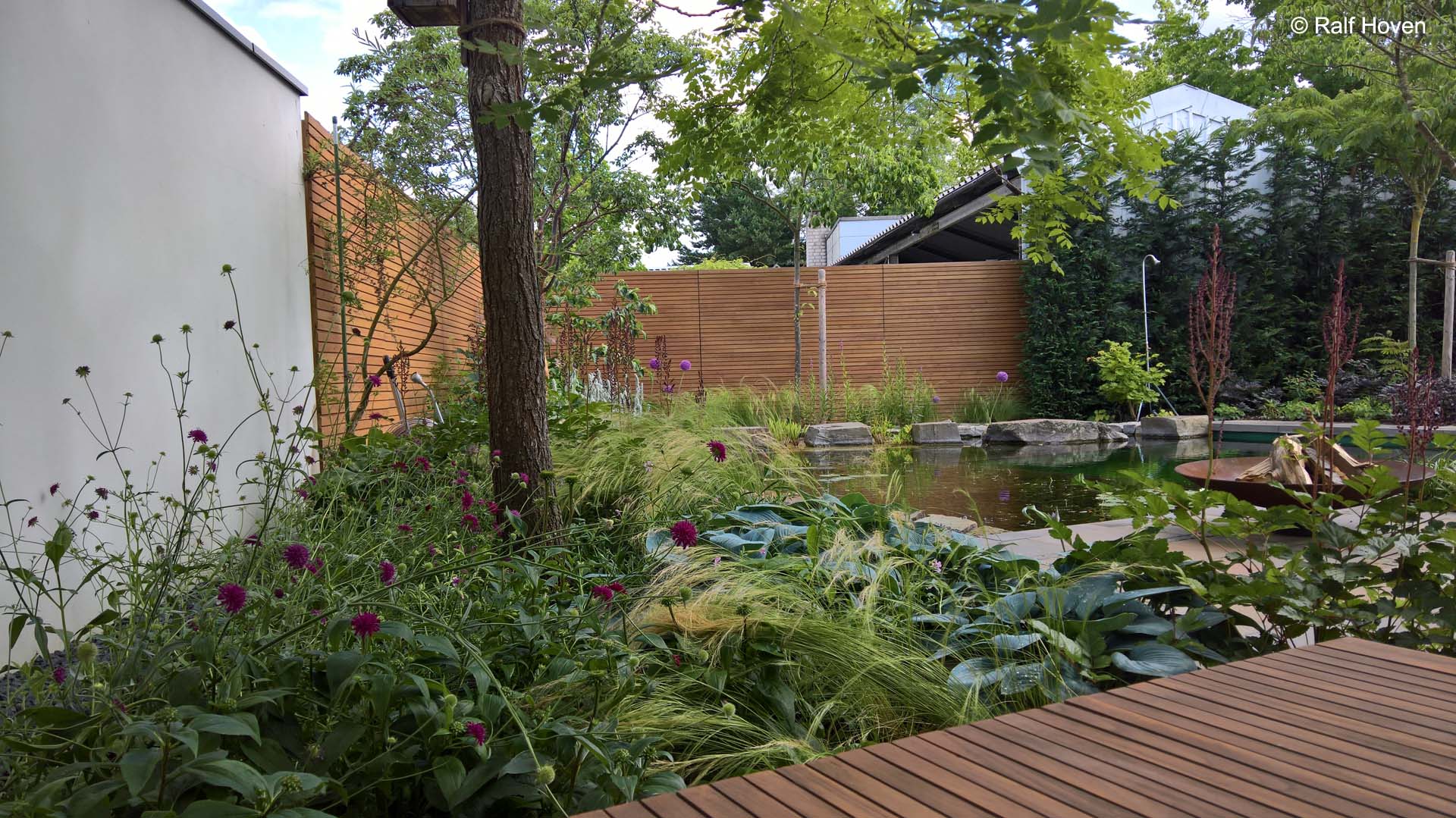 Gartengestaltung Frechen, Staudenbeete, Sichtschutz, modern