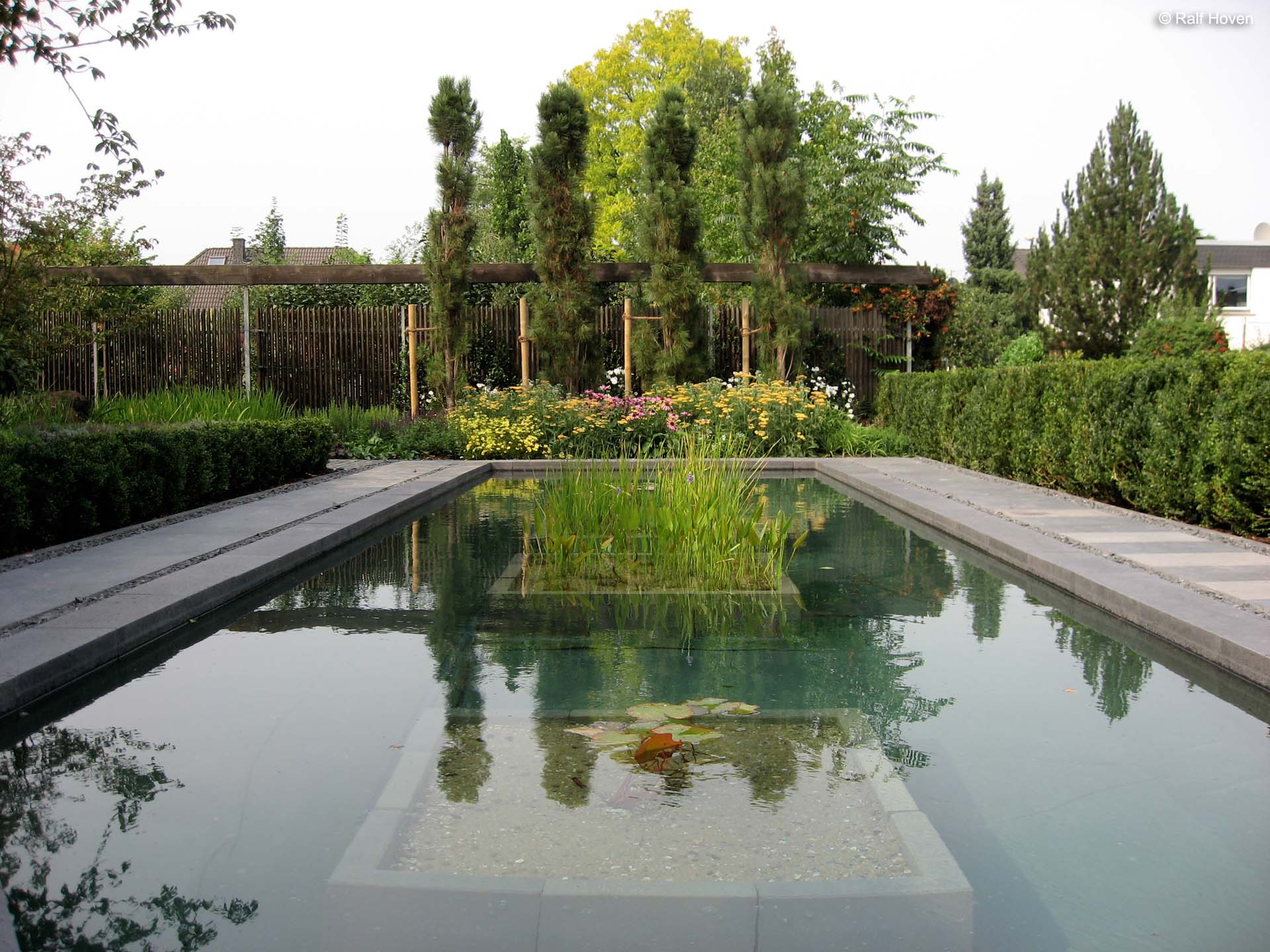 Gartengestaltung Frechen K&ouml;nigsdorf, Wasserbecken, Staudenbeete, modern