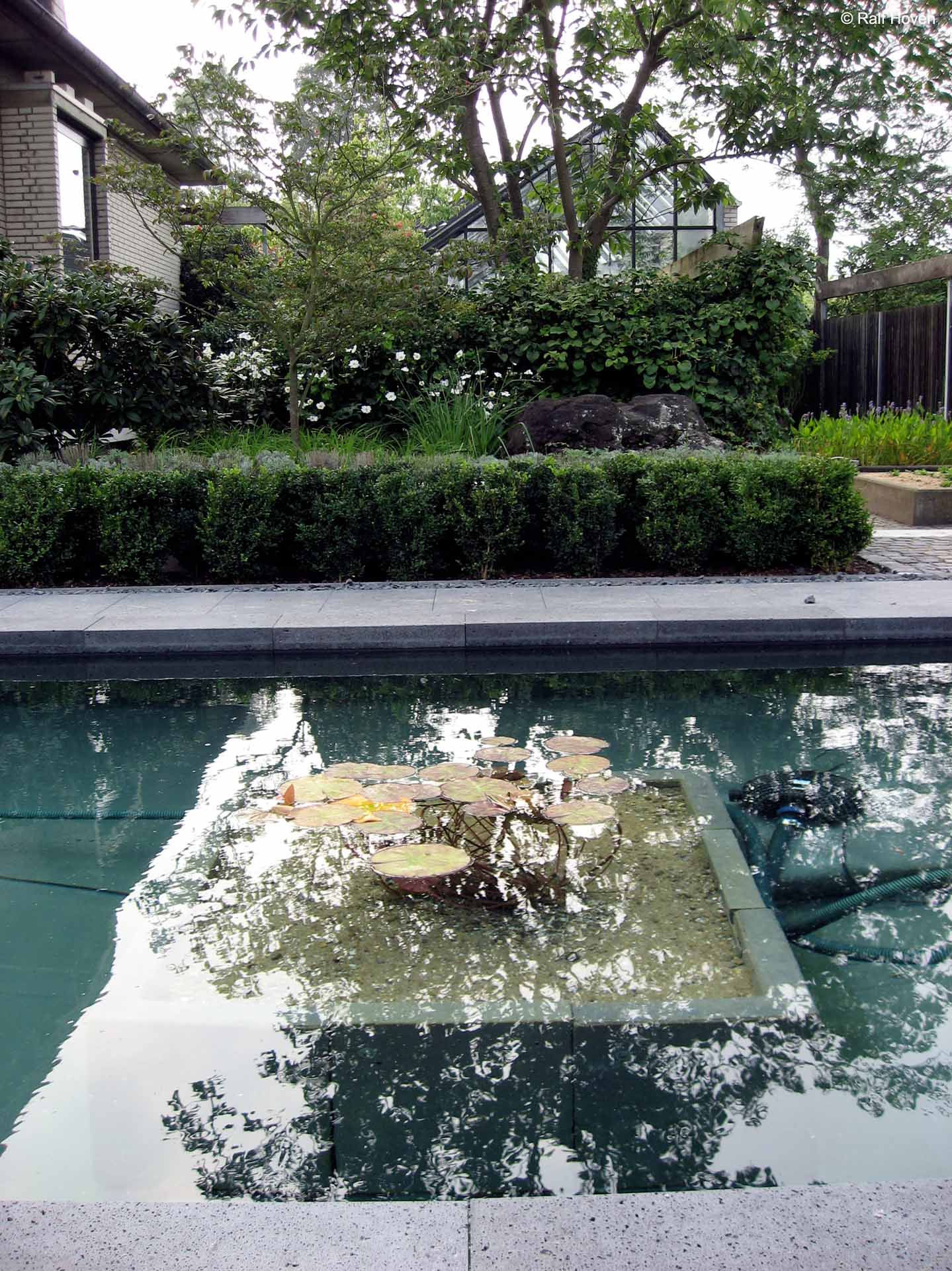 Gartengestaltung Frechen K&ouml;nigsdorf, Wasserbecken, Staudenbeete, modern