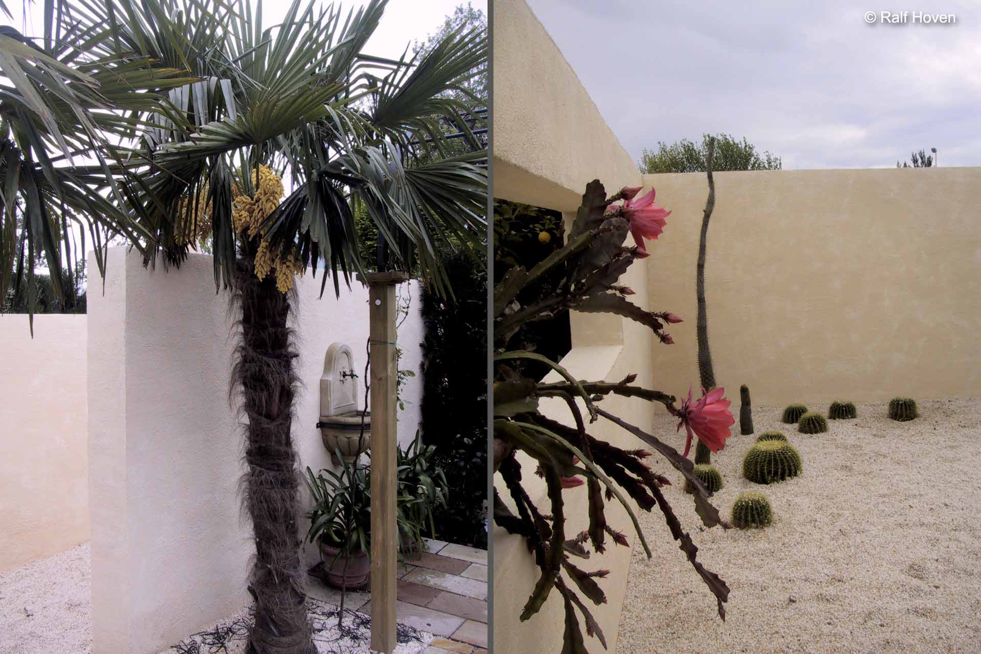 Gartengestaltung Frechen K&ouml;nigsdorf, Wasserbecken, Staudenbeete, modern