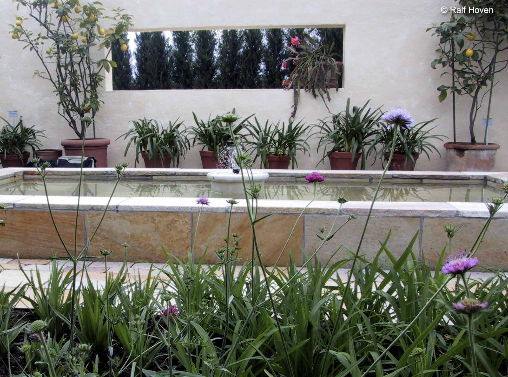 Gartengestaltung Frechen K&ouml;nigsdorf, Wasserbecken, Staudenbeete, modern