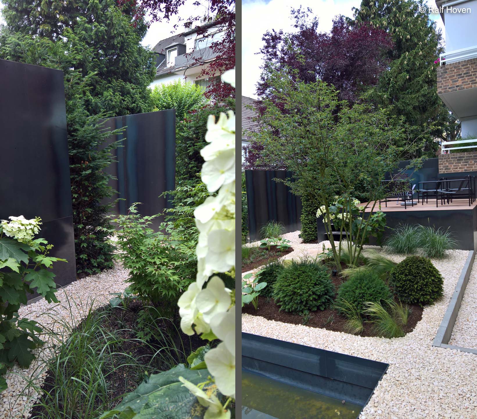 Gartengestaltung K&ouml;ln-Lindenthal, Gr&auml;serbeete, Wasserbecken, Naturstein, Heckenelemente