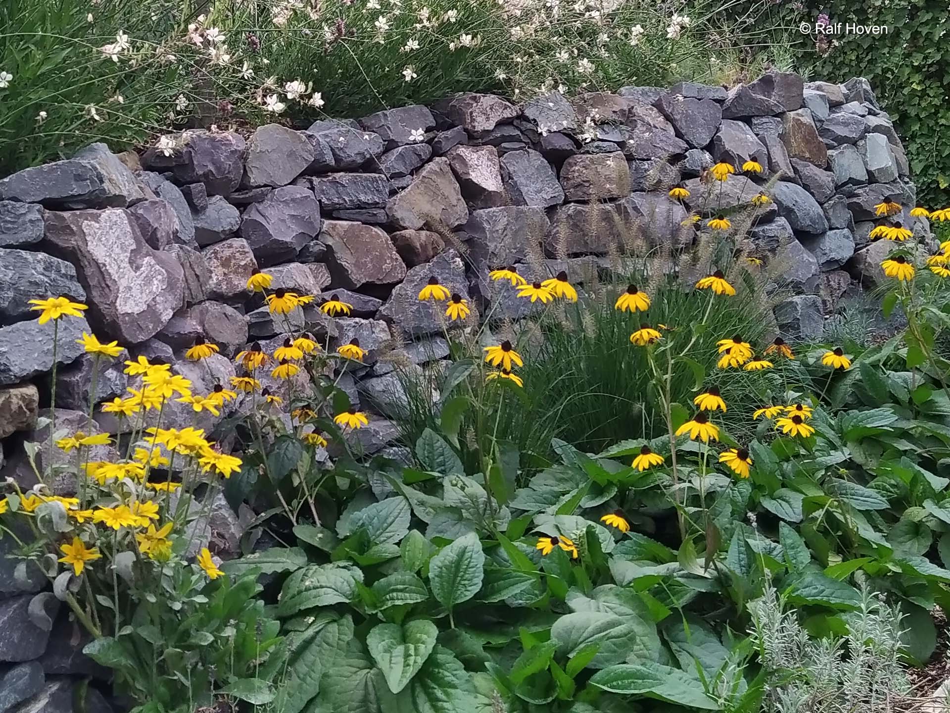 Gartengestaltung Sichtschutz