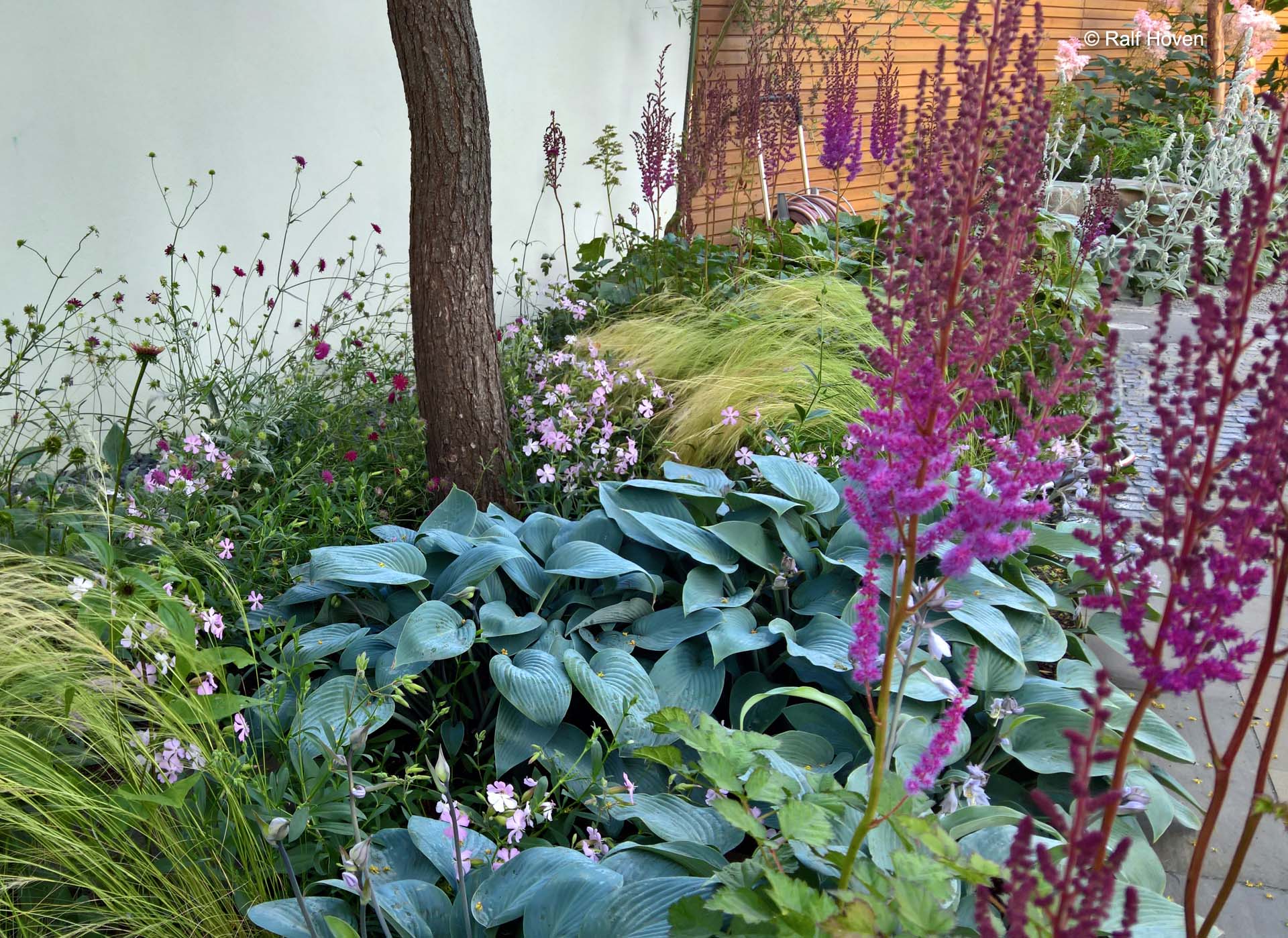 Gartengestaltung Sichtschutz