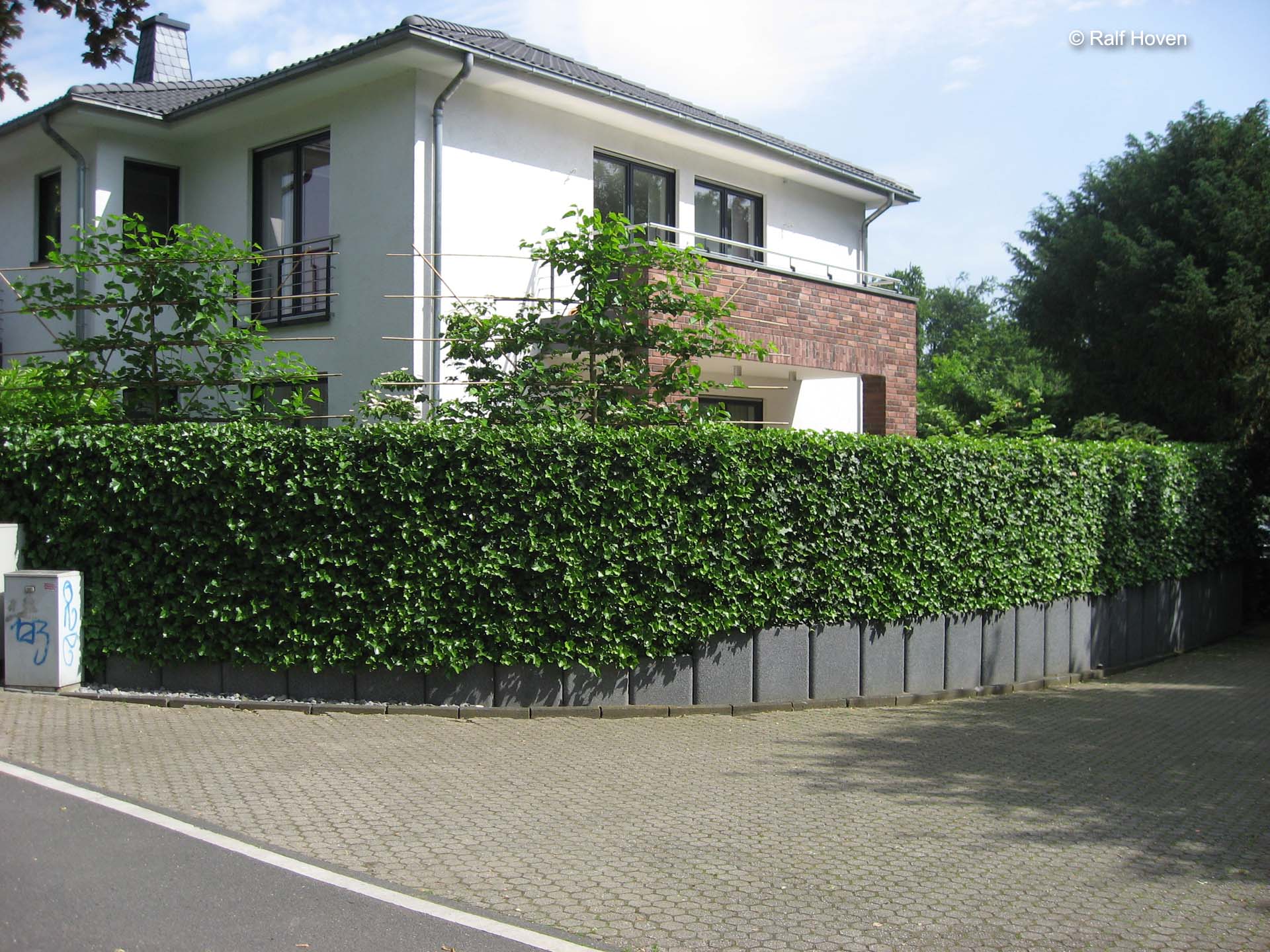 Gartengestaltung Sichtschutz