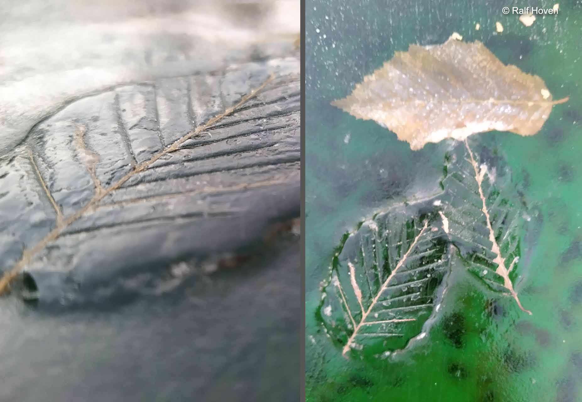 Gartengestaltung in Frechen, Wasserbecken